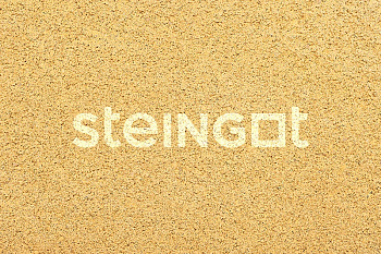 ���������� ������ Steingot ����� ����� 80 "Ƹ����" (������� �������)