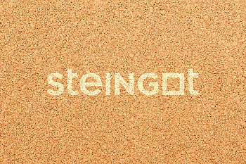 ���������� ������ Steingot ����� ����� 80 "���������" (������� �������)